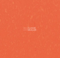 Линолеум Forbo Marmoleum Solid Piano 3651-365135 zinnia фото 1 | FLOORDEALER